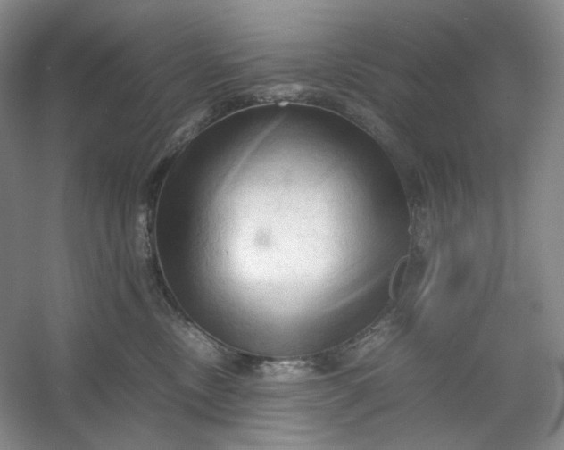 X0000053090378200507251611