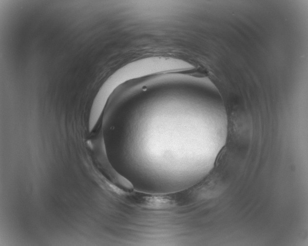 X0000053090380200507251611