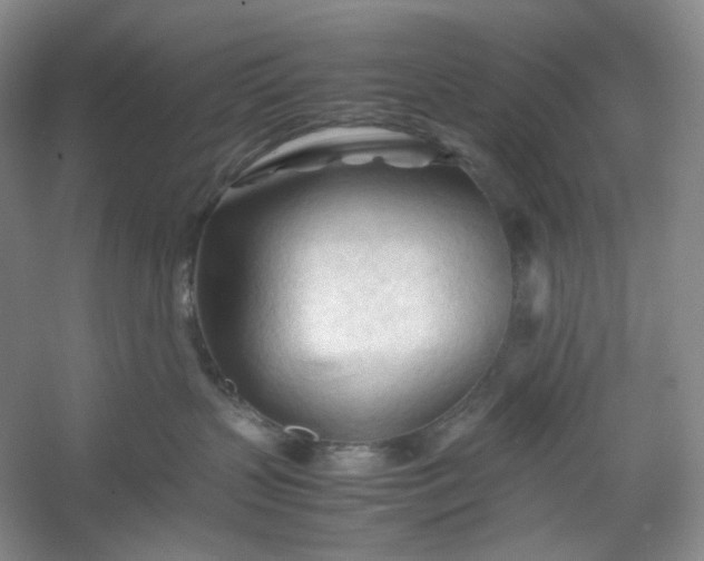 X0000053090383200507251611