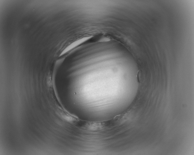 X0000053090384200507251611