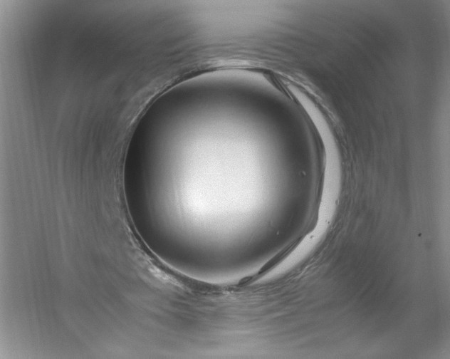 X0000053090385200507251610