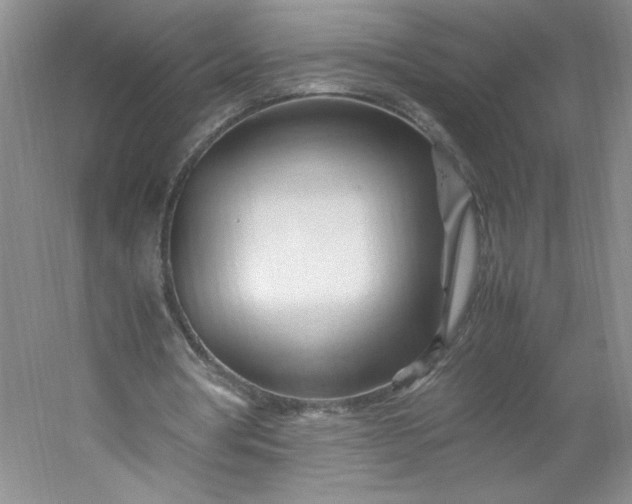 X0000053090386200507251610