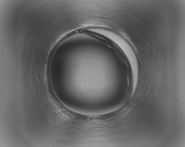 X0000053090387200507251610