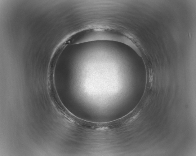 X0000053090388200507251610