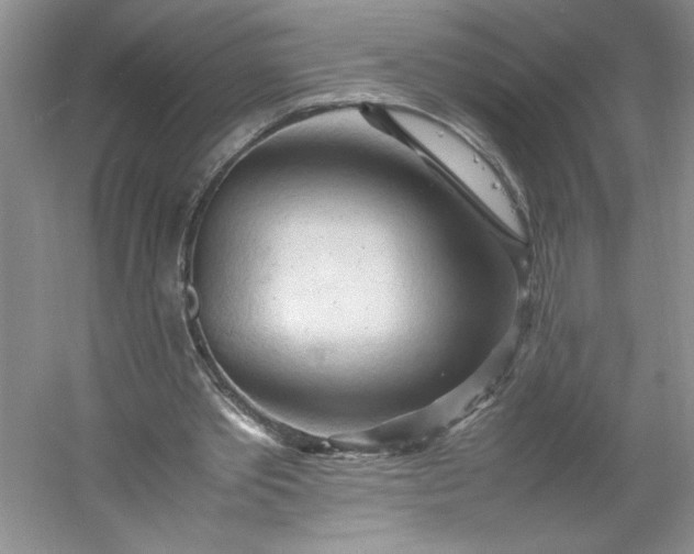 X0000053090389200507251610