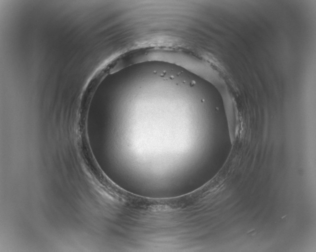 X0000053090392200507251610