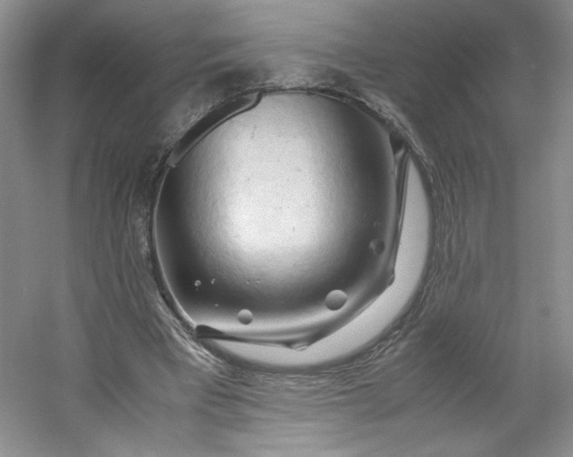 X0000053090393200507251610