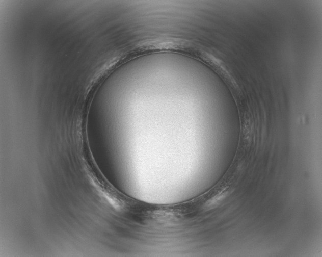 X0000053090394200507251610