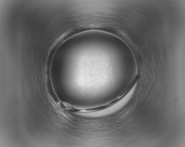 X0000053090395200507251610