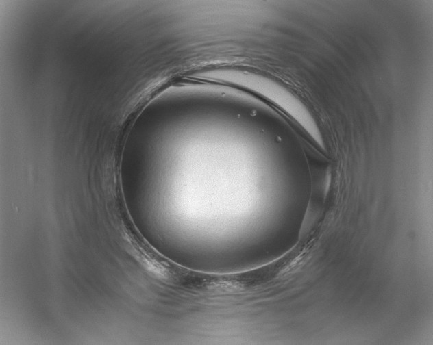 X0000053090397200507251610