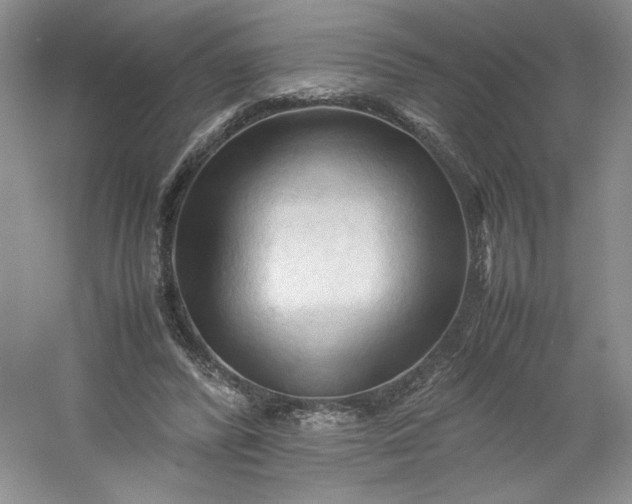 X0000053090400200507251610