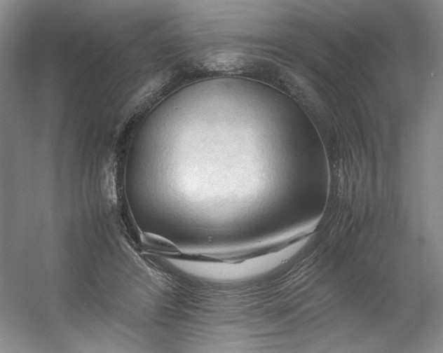 X0000053090404200507251610