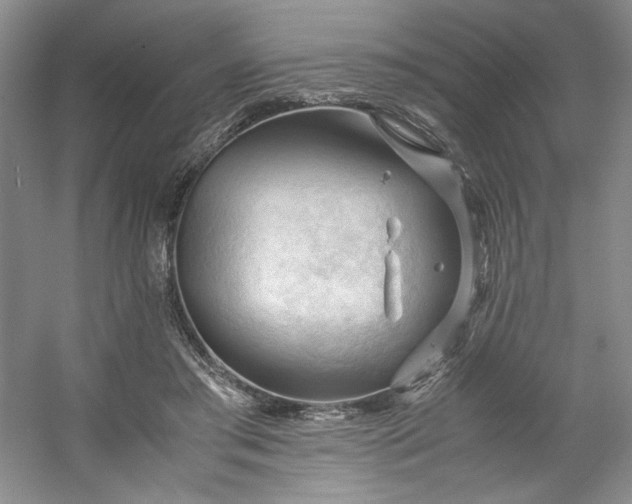 X0000053090405200507251610