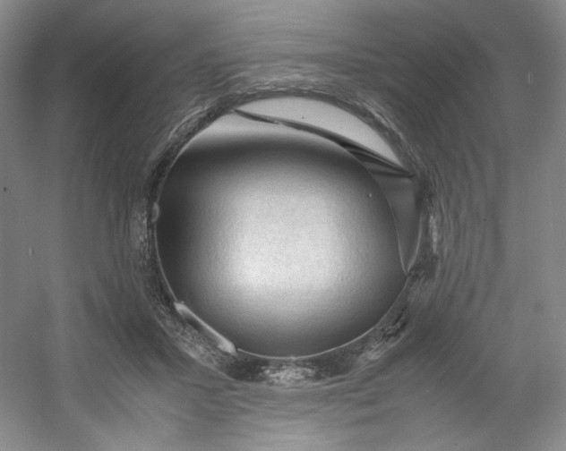 X0000053090407200507251610