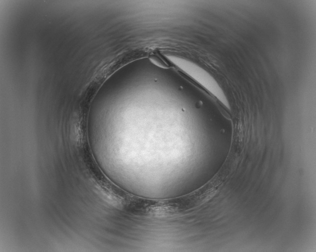 X0000053090408200507251610