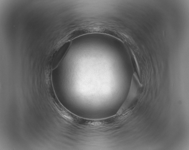 X0000053090409200507251610