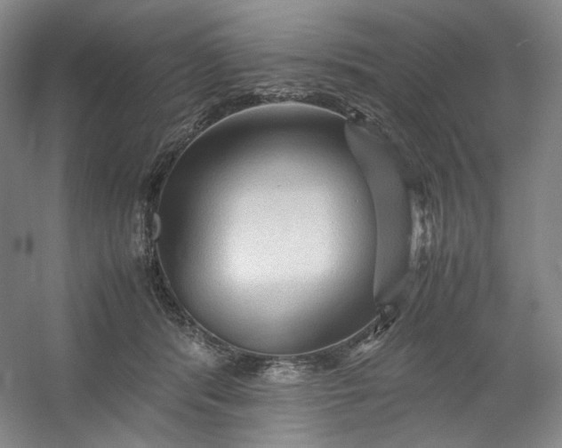 X0000053090416200507251610