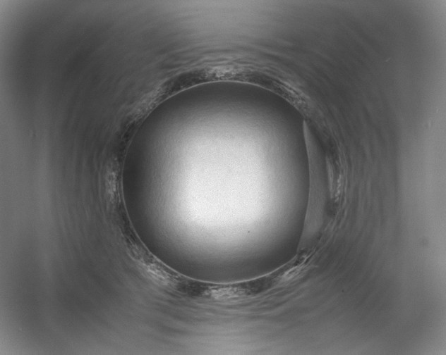 X0000053090417200507251610