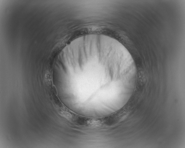 X0000053090419200507251610