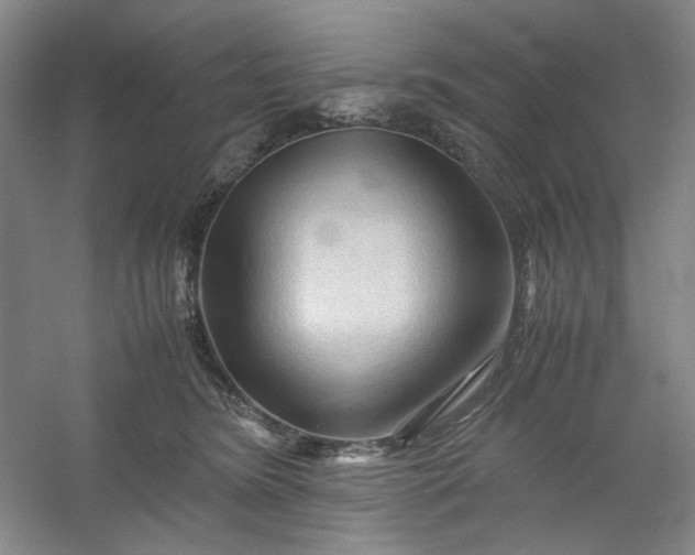 X0000053090420200507251610