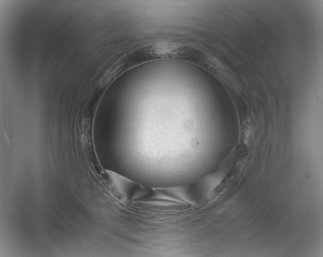 X0000053090421200507251610