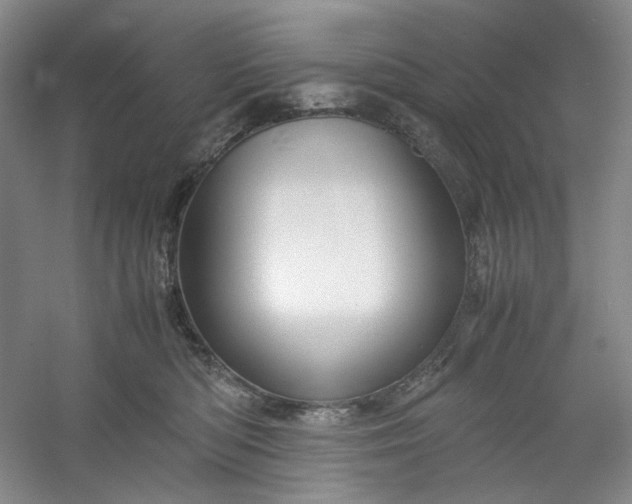 X0000053090422200507251610