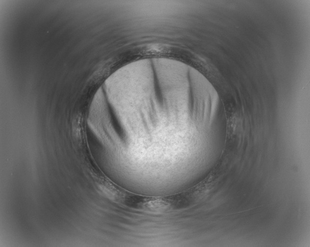 X0000053090423200507251610