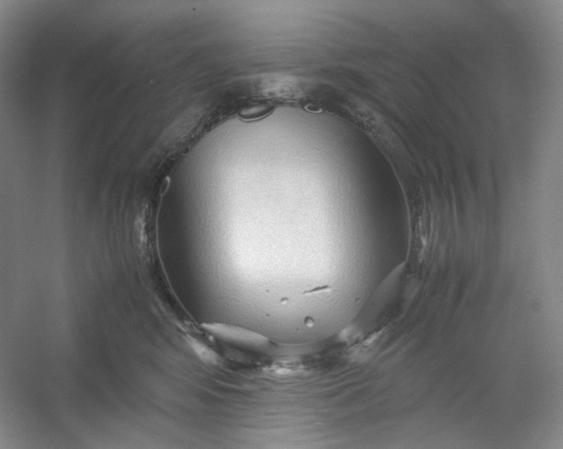 X0000053090424200507251609