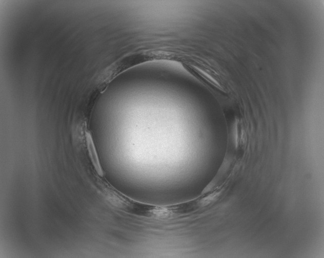 X0000053090425200507251609