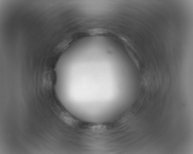 X0000053090426200507251609