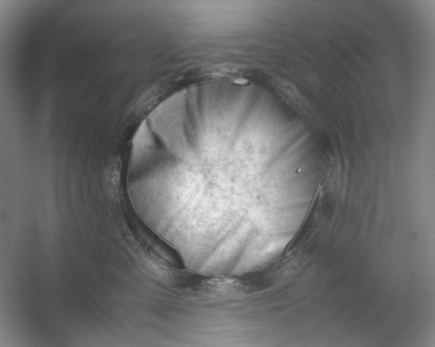 X0000053090427200507251609