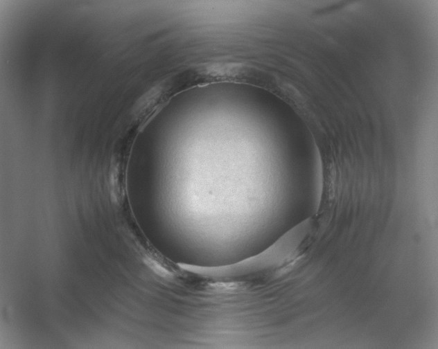 X0000053090428200507251609