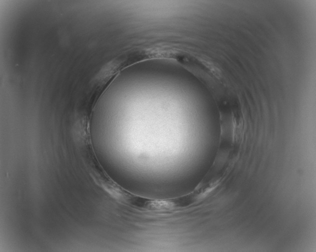 X0000053090429200507251609