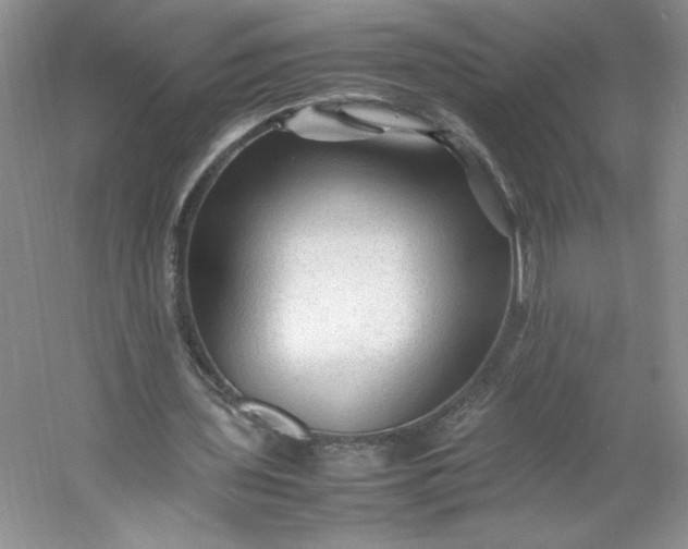 X0000053090435200507251609