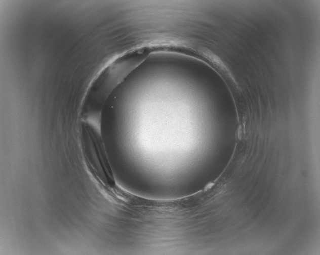 X0000053090436200507251609