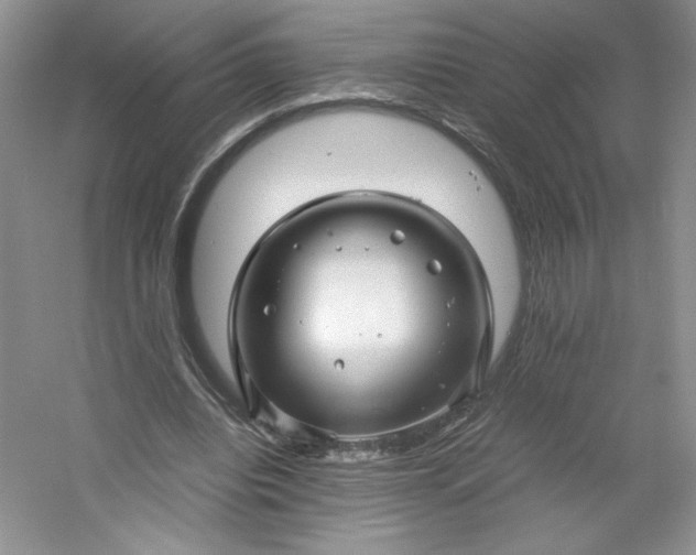 X0000053090440200507251609