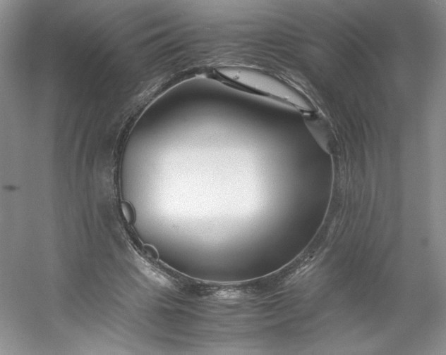 X0000053090441200507251609