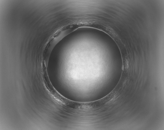 X0000053090444200507251609