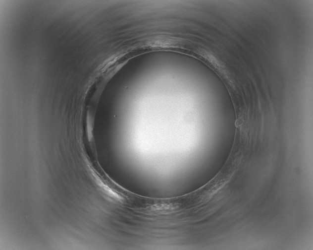 X0000053090445200507251609