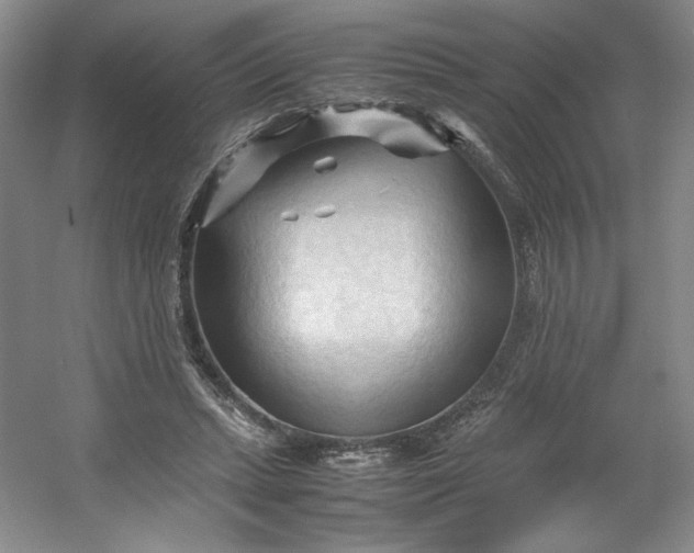 X0000053090447200507251609