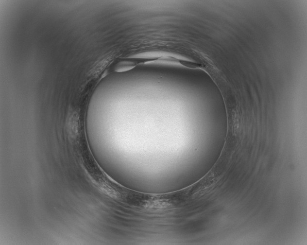 X0000053090451200507251609