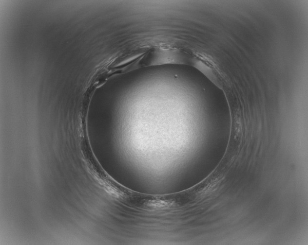 X0000053090453200507251609