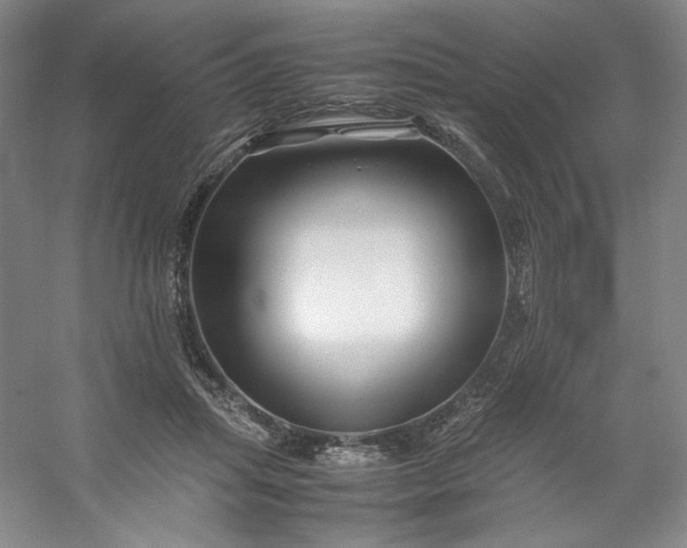 X0000053090455200507251609