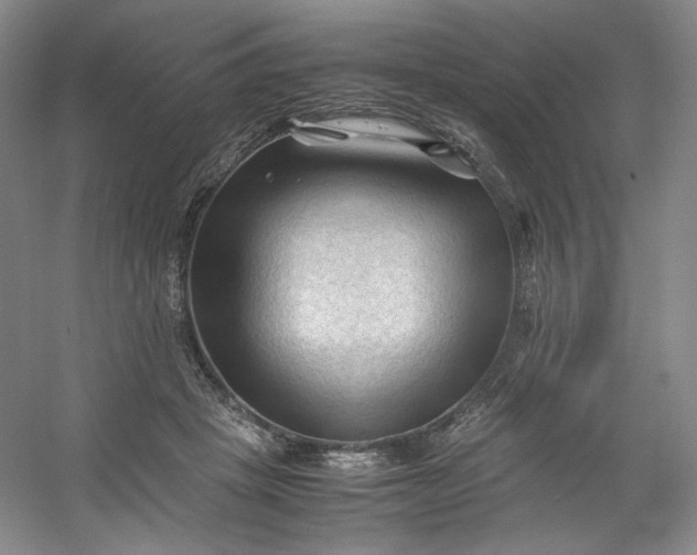 X0000053090457200507251609