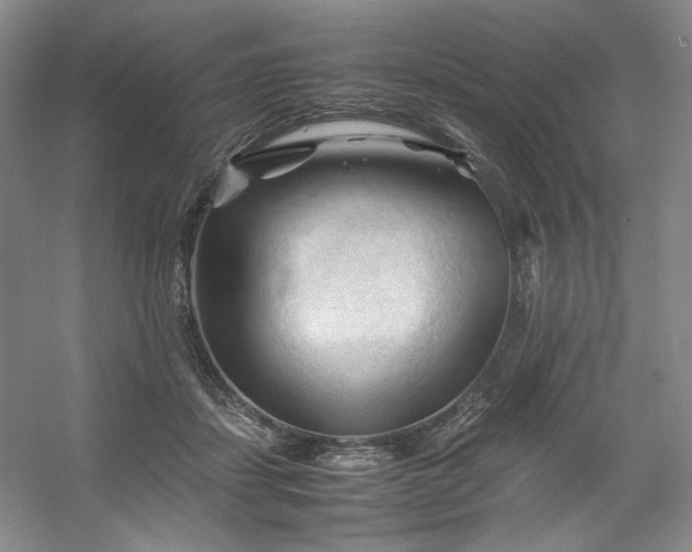 X0000053090459200507251609