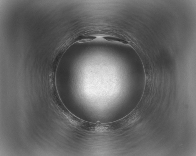 X0000053090462200507251609