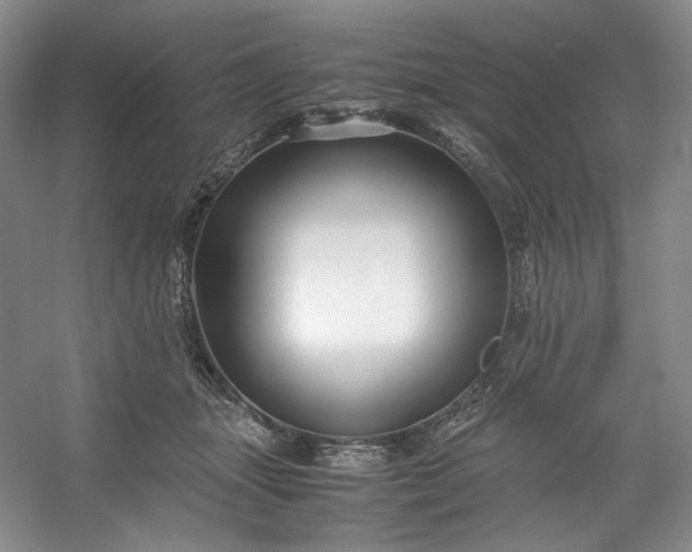 X0000053090463200507251609