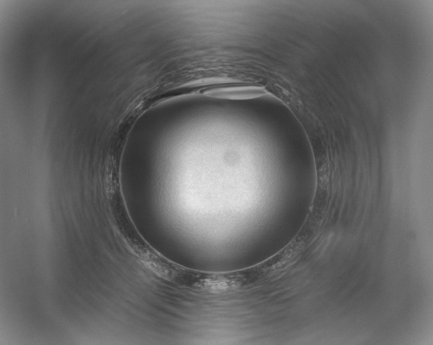 X0000053090464200507251609