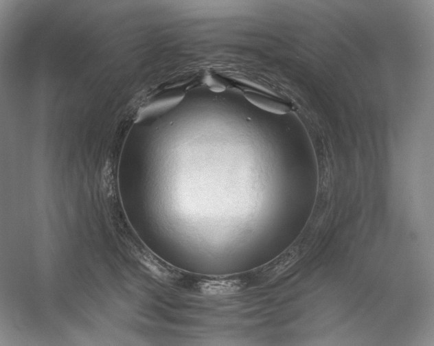 X0000053090465200507251609