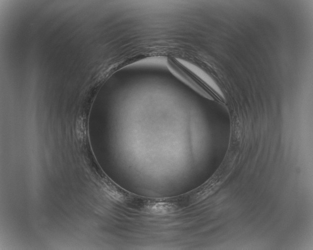 X0000053090467200507251609